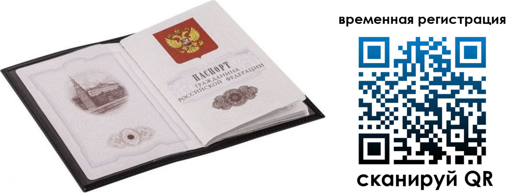 где прописаться в Дорогобуже
